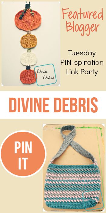 Tuesday PIN-spiration Featured Blogger - Divine Debris | www.thestitchinmommy.com