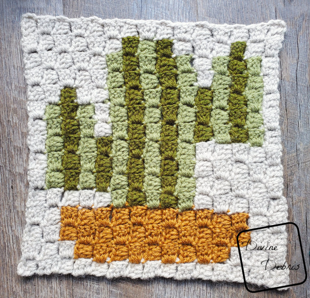 Learn to make the brand new C2C Cactus Afghan Square, first in the 2021 Plants and Flowers C2C Square CAL by Divine Debris