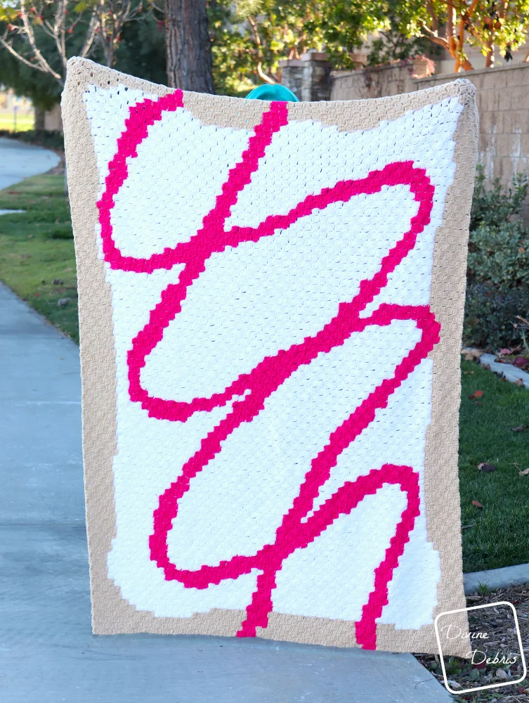 [Image description] The C2C Toaster Pastry Blanket is being held up by a woman in front of a tan wall, trees, and grass.