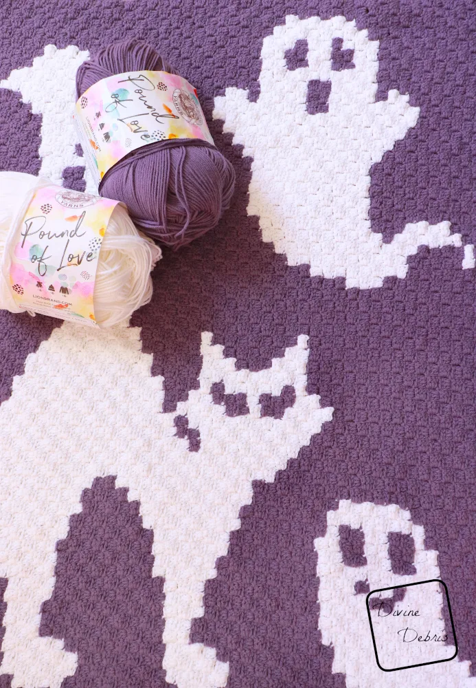 [Image description] Top down view and close up of A Ghoul's Best Friend Blanket with 2 skeins of yarn next to a ghost and cat.