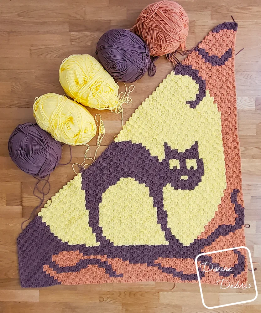 [Image description] Top down view of a half finished Cat Moon Rising Blanket on a hard wood floor with skeins of yarn attached to the top left of the blanket and frame of the photo.